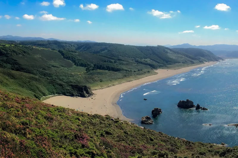 Playón de Bayas